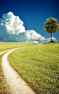 风景最新爆料图片高清无水印,最新高清无水印风景图片赏析