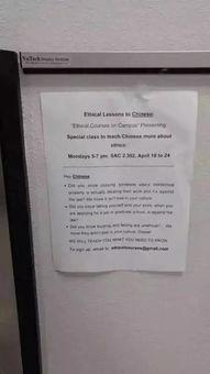 中国大学爆料事件最新,揭秘校园内幕，真相与争议交织